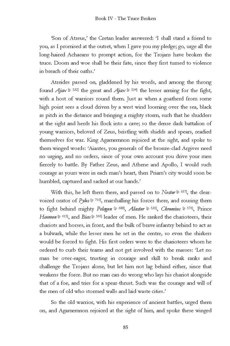 The Iliad - Page 79